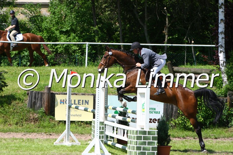 005M5363_Vienna_L Springen.JPG